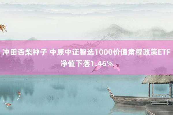 冲田杏梨种子 中原中证智选1000价值肃穆政策ETF净值下落1.46%