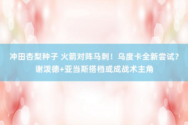 冲田杏梨种子 火箭对阵马刺！乌度卡全新尝试？谢泼德+亚当斯搭档或成战术主角