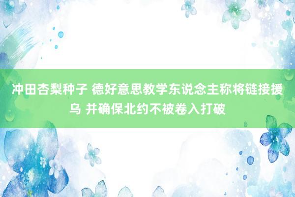 冲田杏梨种子 德好意思教学东说念主称将链接援乌 并确保北约不被卷入打破