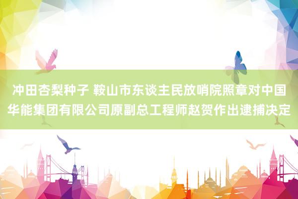 冲田杏梨种子 鞍山市东谈主民放哨院照章对中国华能集团有限公司原副总工程师赵贺作出逮捕决定