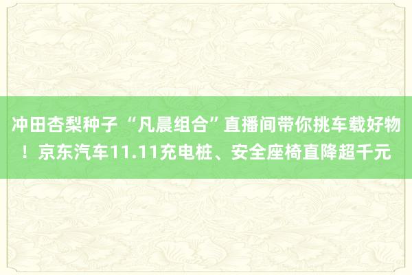 冲田杏梨种子 “凡晨组合”直播间带你挑车载好物！京东汽车11.11充电桩、安全座椅直降超千元