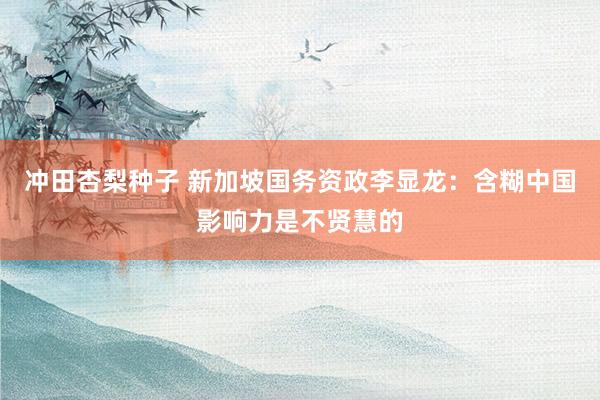 冲田杏梨种子 新加坡国务资政李显龙：含糊中国影响力是不贤慧的
