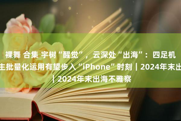 裸舞 合集 宇树“醒觉”，云深处“出海”：四足机器东说念主批量化运用有望步入“iPhone”时刻｜2024年末出海不雅察