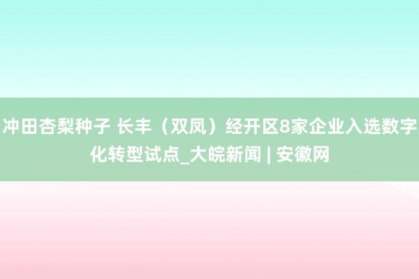 冲田杏梨种子 长丰（双凤）经开区8家企业入选数字化转型试点_大皖新闻 | 安徽网