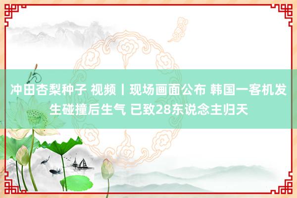 冲田杏梨种子 视频丨现场画面公布 韩国一客机发生碰撞后生气 已致28东说念主归天