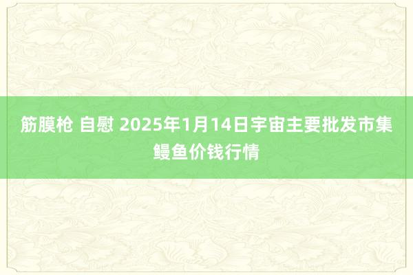 筋膜枪 自慰 2025年1月14日宇宙主要批发市集鳗鱼价钱行情