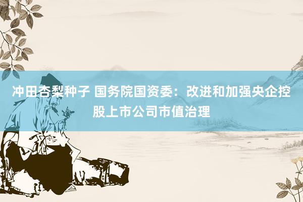 冲田杏梨种子 国务院国资委：改进和加强央企控股上市公司市值治理