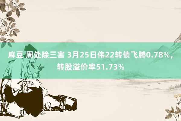 麻豆 周处除三害 3月25日伟22转债飞腾0.78%，转股溢价率51.73%