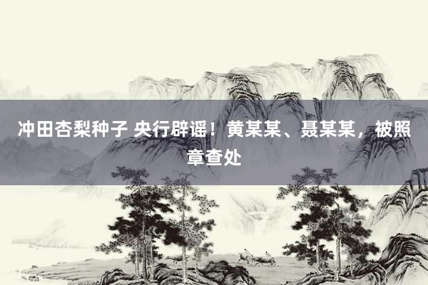 冲田杏梨种子 央行辟谣！黄某某、聂某某，被照章查处