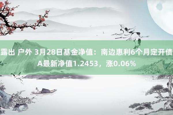 露出 户外 3月28日基金净值：南边惠利6个月定开债A最新净值1.2453，涨0.06%