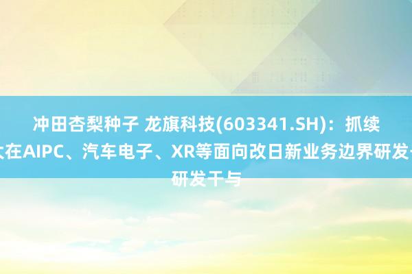 冲田杏梨种子 龙旗科技(603341.SH)：抓续加大在AIPC、汽车电子、XR等面向改日新业务边界研发干与