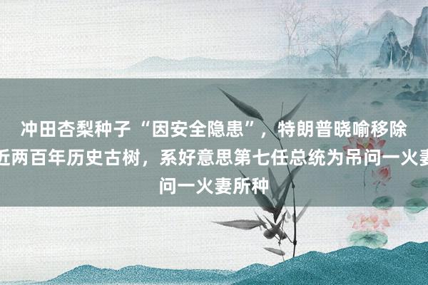 冲田杏梨种子 “因安全隐患”，特朗普晓喻移除白宫近两百年历史古树，系好意思第七任总统为吊问一火妻所种
