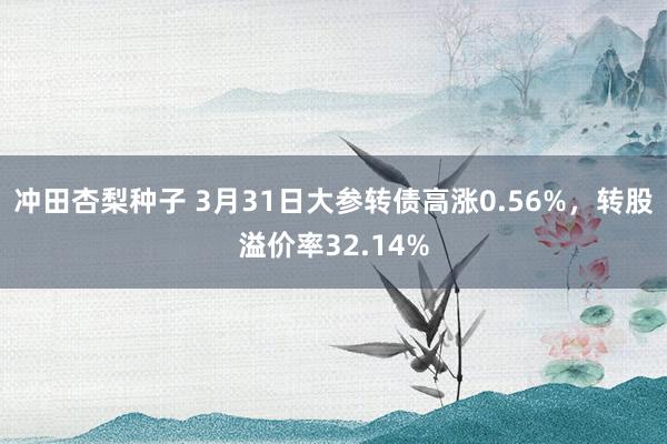 冲田杏梨种子 3月31日大参转债高涨0.56%，转股溢价率32.14%