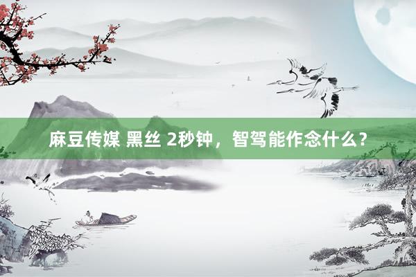 麻豆传媒 黑丝 2秒钟，智驾能作念什么？