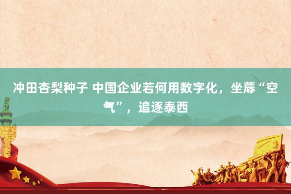 冲田杏梨种子 中国企业若何用数字化，坐蓐“空气”，追逐泰西