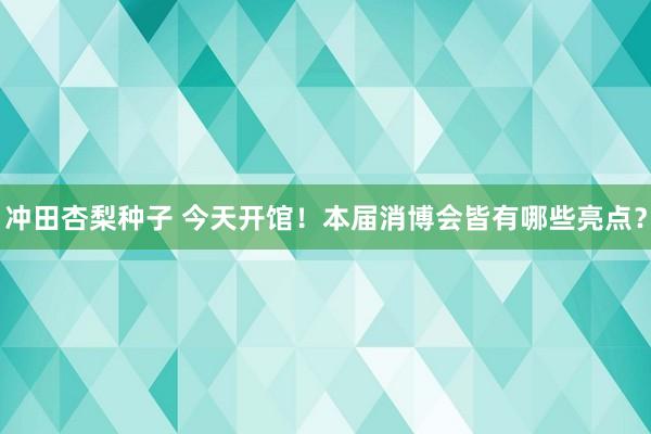 冲田杏梨种子 今天开馆！本届消博会皆有哪些亮点？